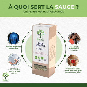 Sauge bio - Bioptimal Bioptimal Infusion infusion.organic