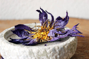 Nymphaea Caerulea Egyptian Blue Lotus Dried WHOLE FLOWER Magical Tea Ayamani Naturals infusion.organic