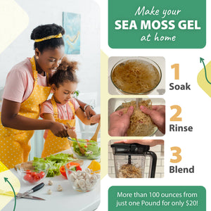 CRAFTED RAW SEA MOSS Supplement TrueSeaMoss infusion.organic