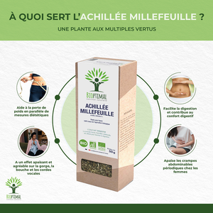 Achillé millefeuille bio -  Bioptimal Bioptimal Infusion infusion.organic