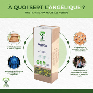 Angélique bio -  Bioptimal Bioptimal Infusion infusion.organic