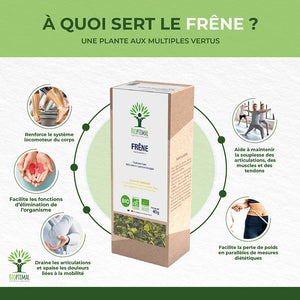 Frêne bio -  Bioptimal Bioptimal Infusion infusion.organic