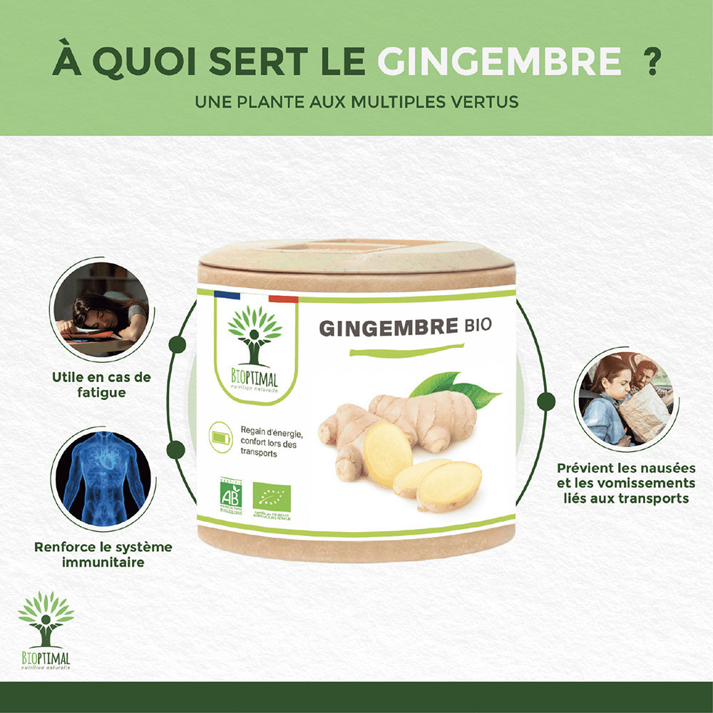 Gingembre bio gélules - Bioptimal Bioptimal Complément alimentaire infusion.organic