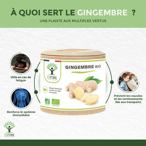 Gingembre bio gélules - Bioptimal Bioptimal Complément alimentaire infusion.organic