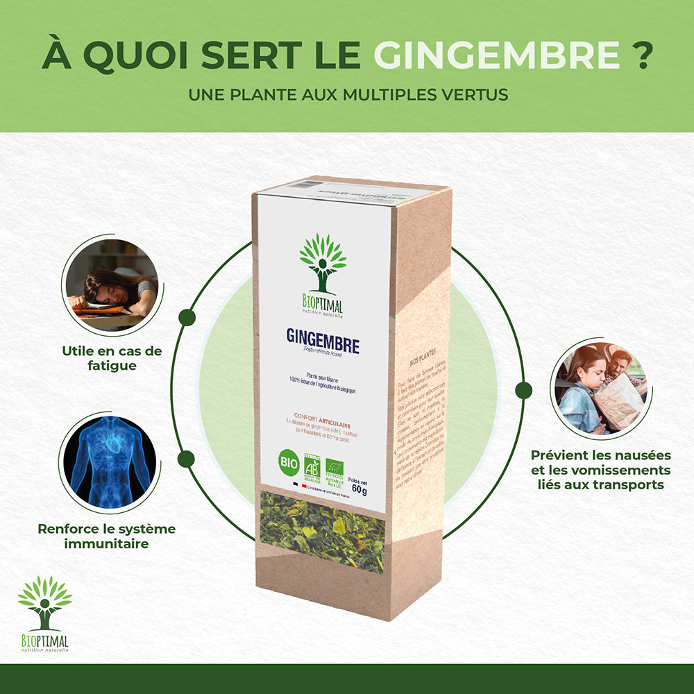 Gingembre bio -  Bioptimal Bioptimal Infusion infusion.organic
