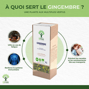 Gingembre bio -  Bioptimal Bioptimal Infusion infusion.organic