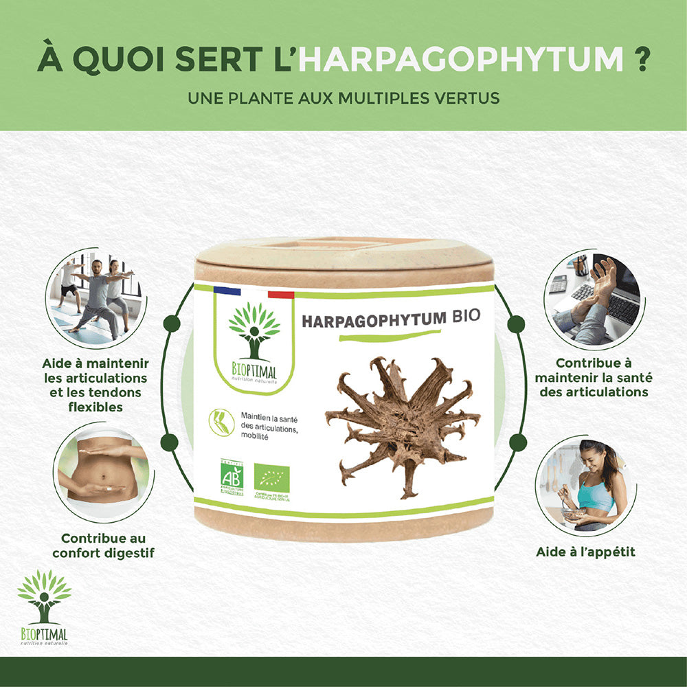 Harpagophytum bio gélules - Bioptimal Bioptimal Complément alimentaire infusion.organic