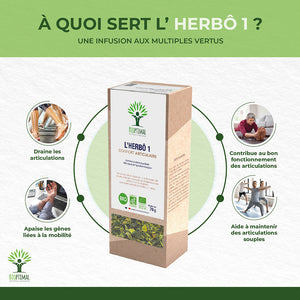 L'herbô 1 confort articulaire -  Bioptimal Bioptimal Infusion infusion.organic