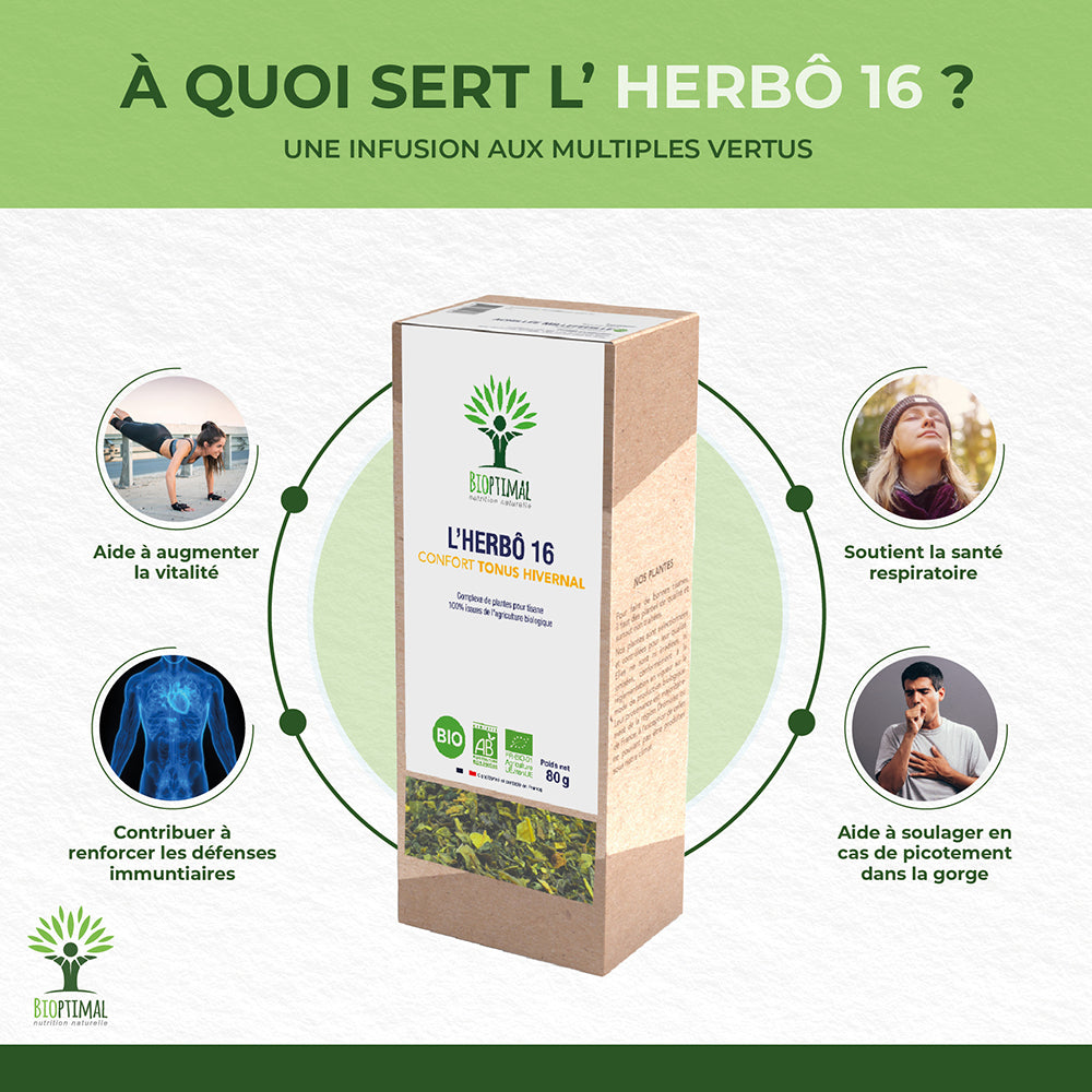 L'herbô 16 Tonus hivernal -  Bioptimal Bioptimal Infusion infusion.organic