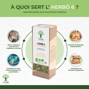 L'herbô 6 confort hépatique -  Bioptimal Bioptimal Infusion infusion.organic