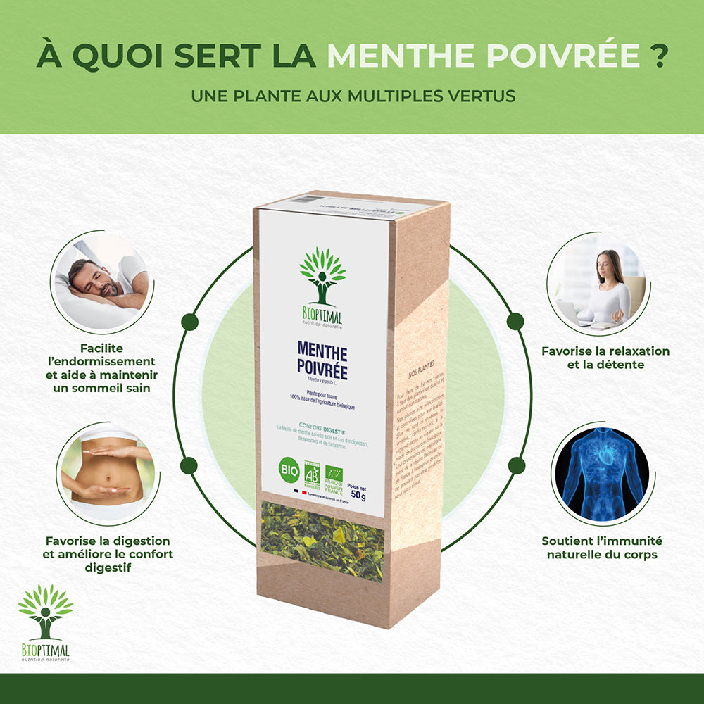 Menthe poivrée bio -  Bioptimal Bioptimal Infusion infusion.organic