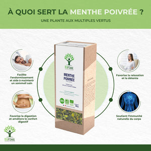 Menthe poivrée bio -  Bioptimal Bioptimal Infusion infusion.organic