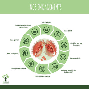 Bronzage bio gélules - Bioptimal Bioptimal Complément alimentaire infusion.organic