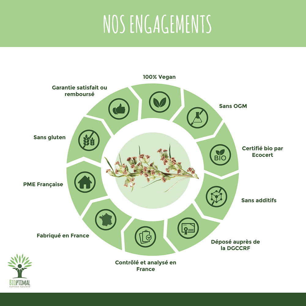Artémisia bio gélules - Bioptimal Bioptimal Complément alimentaire infusion.organic