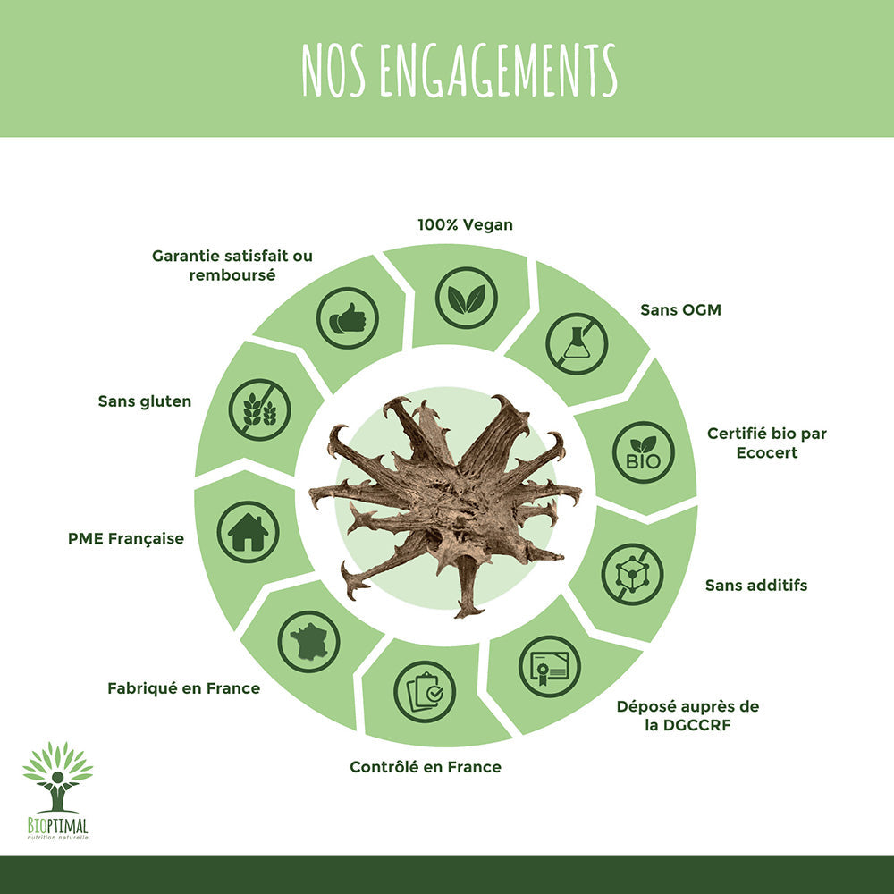 Harpagophytum bio gélules - Bioptimal Bioptimal Complément alimentaire infusion.organic