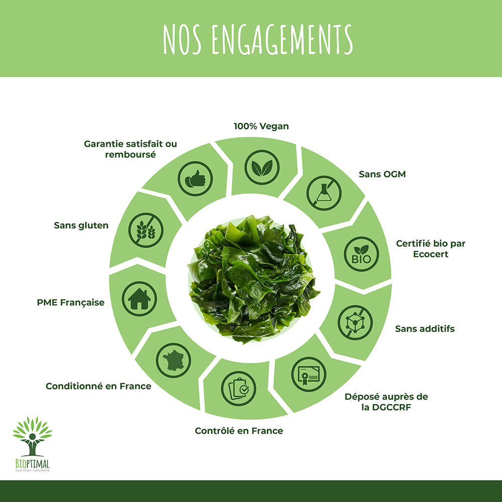 Kelp bio poudre -  Bioptimal Bioptimal Superaliment infusion.organic