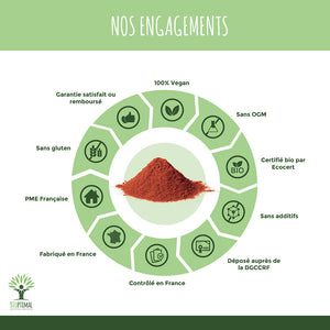 Levure de riz rouge bio gélules -  Bioptimal Bioptimal Complément alimentaire infusion.organic