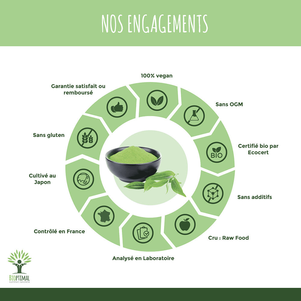 Matcha bio poudre -  Bioptimal Bioptimal Superaliment infusion.organic