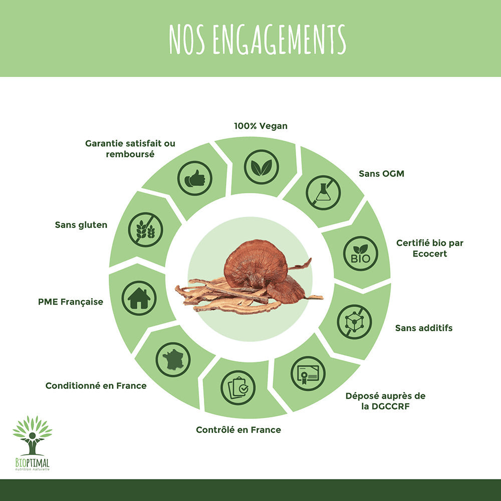Reishi bio poudre -  Bioptimal Bioptimal Superaliment infusion.organic