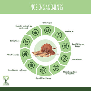 Reishi bio poudre -  Bioptimal Bioptimal Superaliment infusion.organic