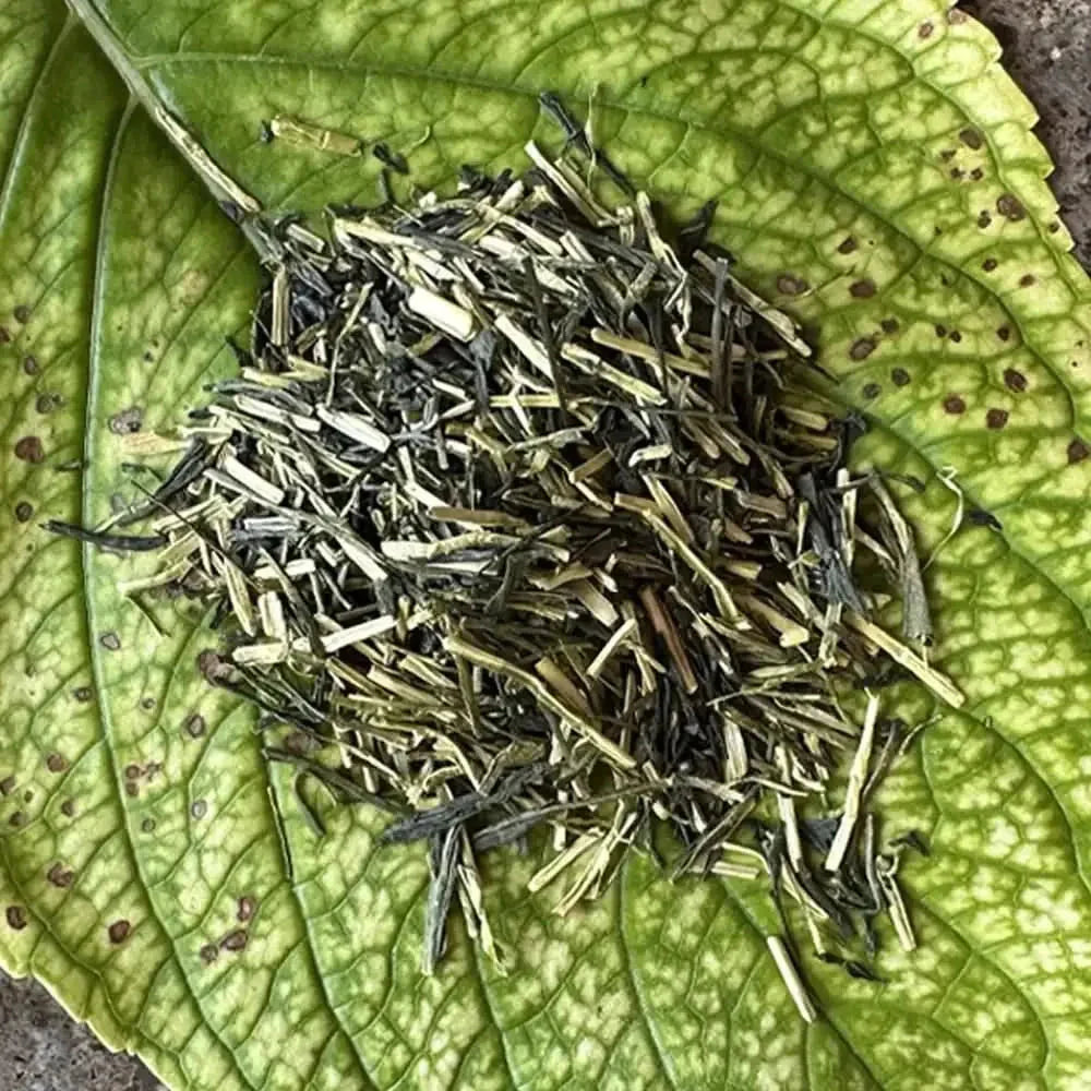 Kukicha Green Tea 50 g - Green Tea - Green Tea - infusion.organic