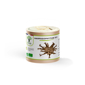 Harpagophytum bio gélules - Bioptimal Bioptimal Complément alimentaire infusion.organic