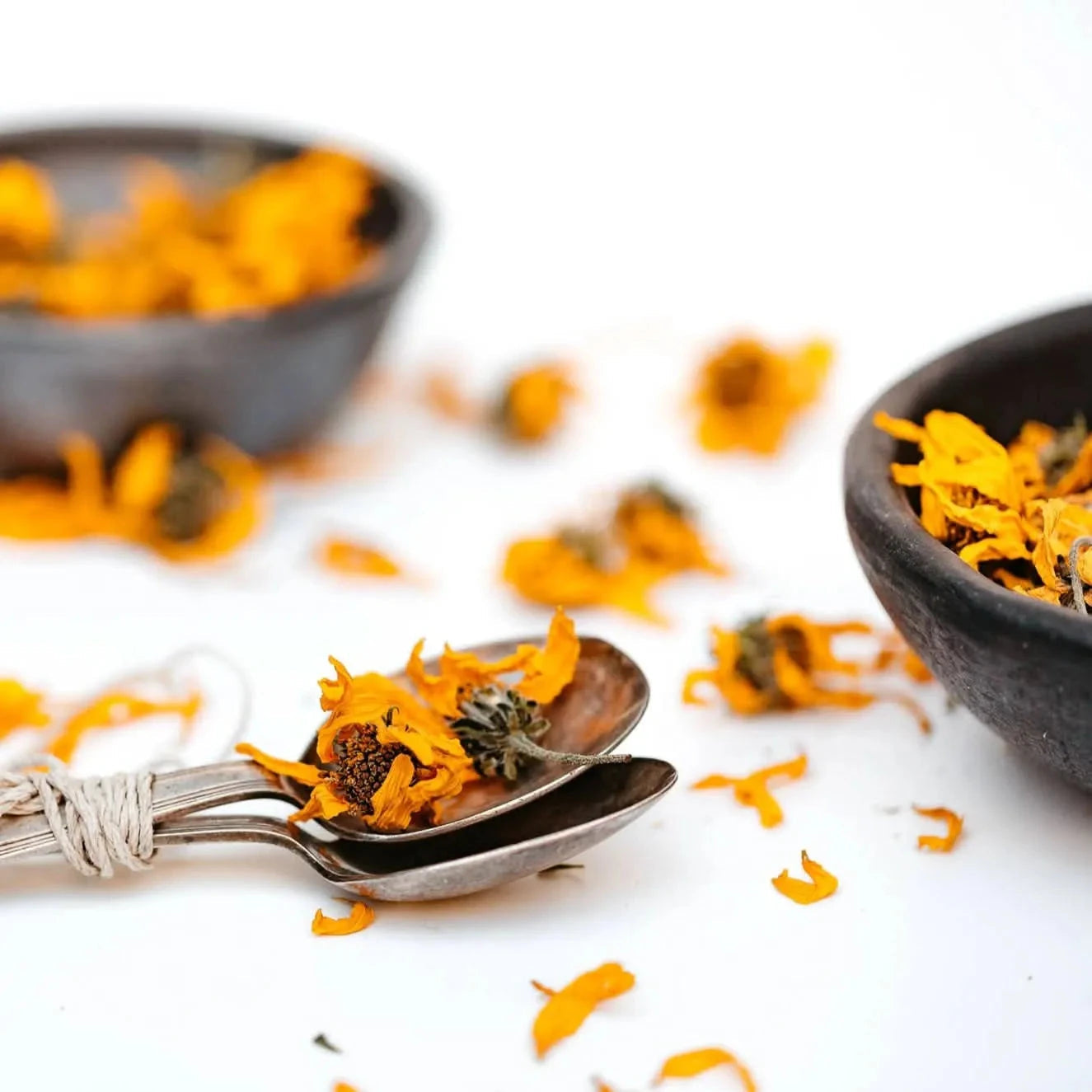 Jerusalem Artichoke Flower Tea -certified organic herbal te-Plūkt-infusion.organic