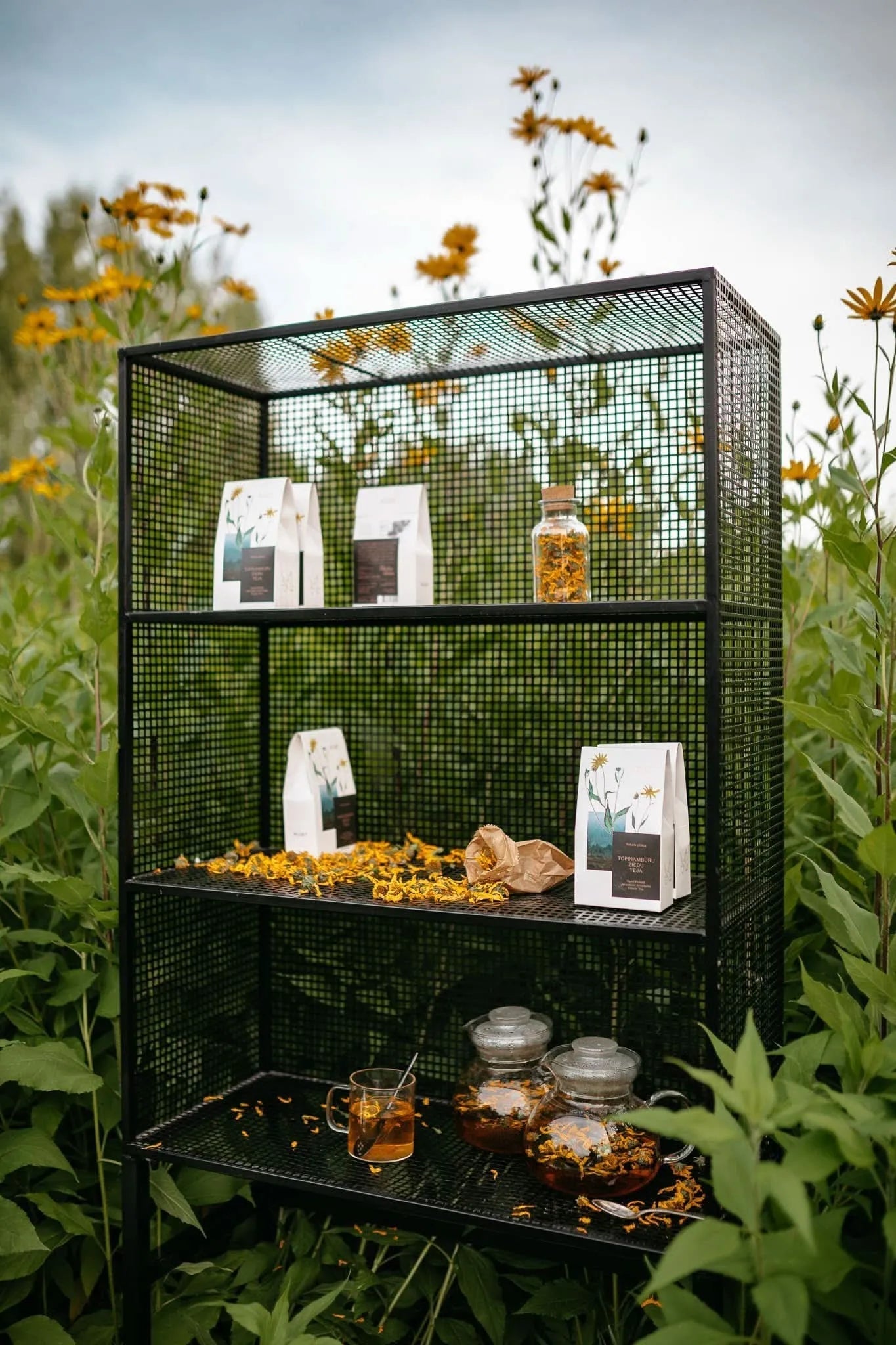 Jerusalem Artichoke Flower Tea -certified organic herbal te-Plūkt-infusion.organic