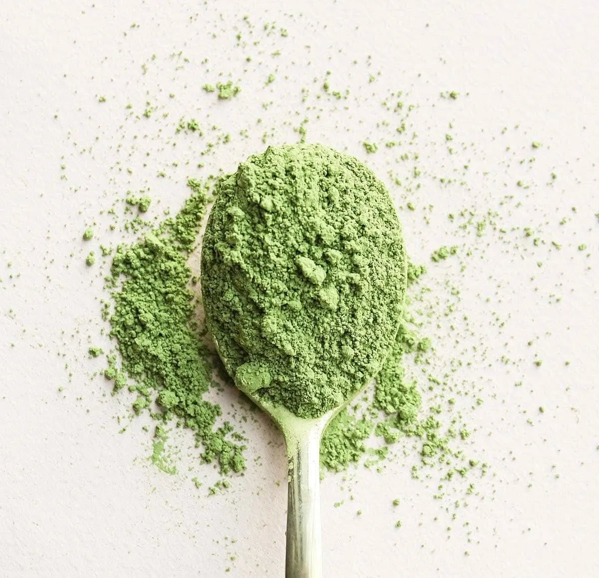 Matcha 20 sticks - Ceremonial grade Organic - Matcha - Green Tea, Matcha - infusion.organic