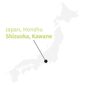 Japan Ceremonial Matcha ORGANIC - Matcha - Branded - infusion.organic