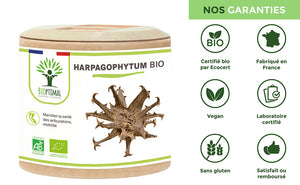 Harpagophytum bio gélules - Bioptimal Bioptimal Complément alimentaire infusion.organic