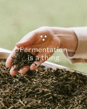 Nordic Black Tea - decaf, energy-boost, organic, herbal tea-Plūkt-infusion.organic