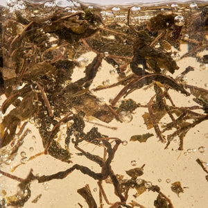 Nordic Black Tea - decaf, energy-boost, organic, herbal tea-Plūkt-infusion.organic