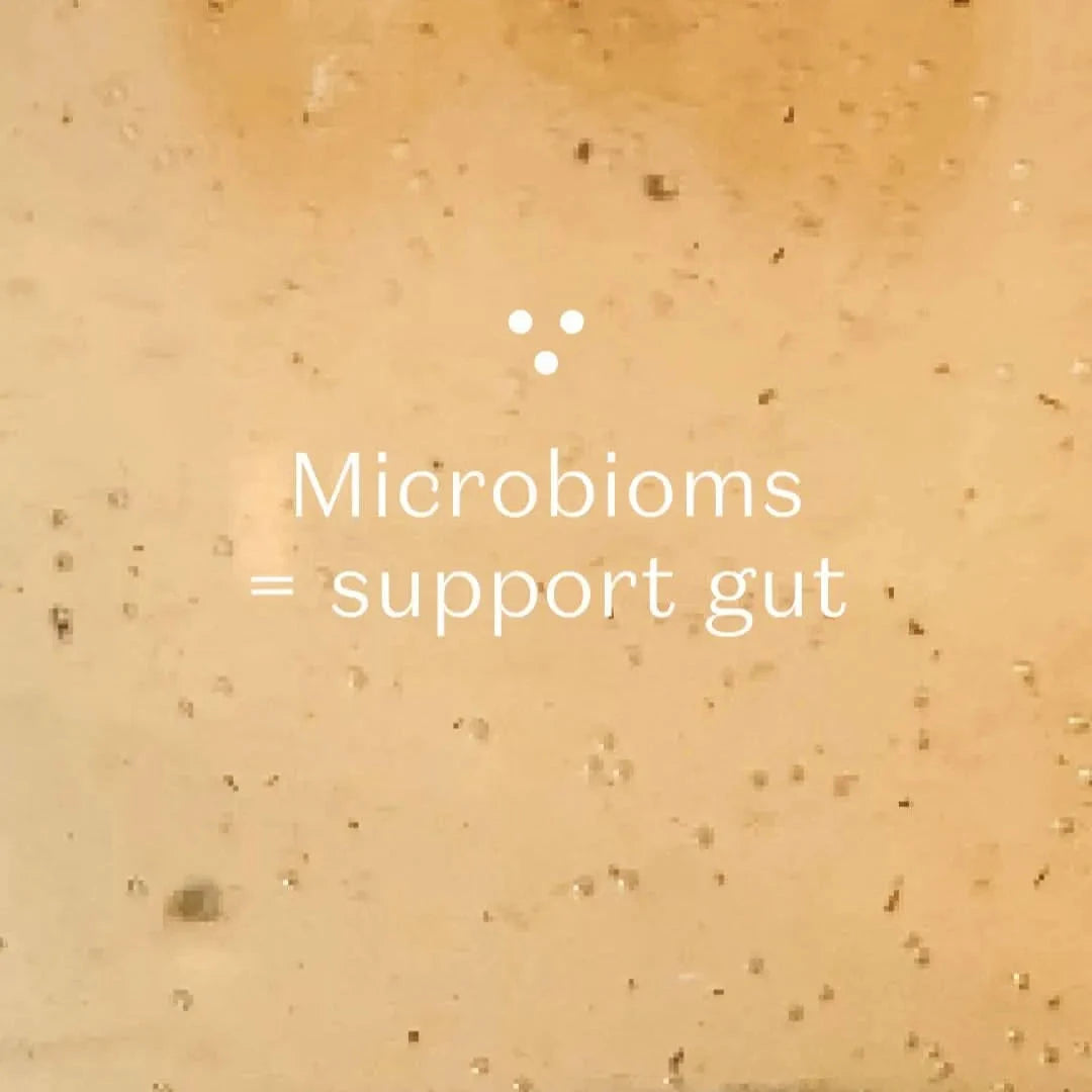 Nordic Black Tea - decaf, energy-boost, organic, herbal tea-Plūkt-infusion.organic