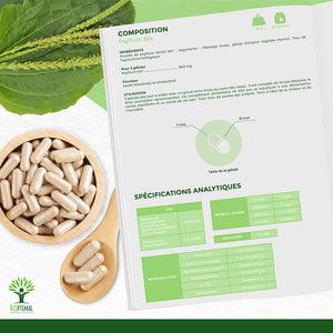 Psyllium bio gélules -  Bioptimal Bioptimal Complément alimentaire infusion.organic