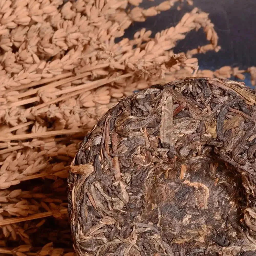 Puer Sheng (raw) Tea Nannuoshan 2021 100g - Pu-Erh-tea - Pu-Erh-tea - infusion.organic