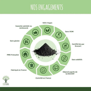 active vegetable carbon - capsules - Supplements - Supplements - infusion.organic