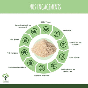 blond psyllium powder - Supplements - Supplements - infusion.organic