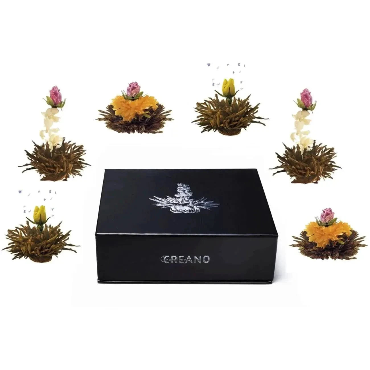 Magnetic box 6 blooming Black tea - Blooming Tea - Black Tea, Blooming Tea - infusion.organic
