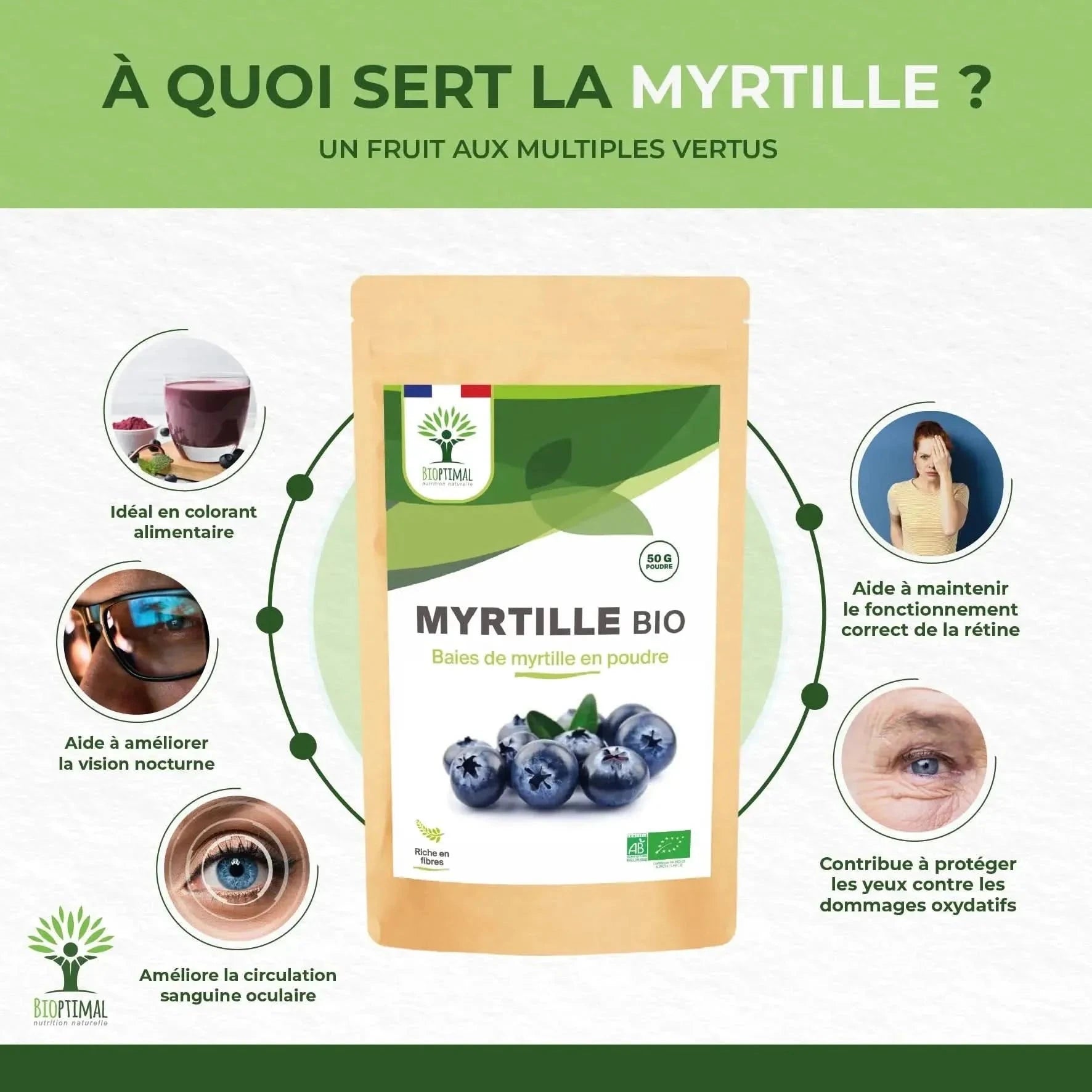 Blueberry Powder - Dried Fruits - Supplements - infusion.organic