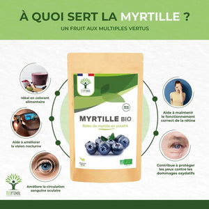 Blueberry Powder - Dried Fruits - Supplements - infusion.organic