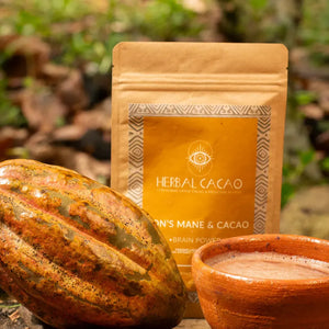 "Brain Power" | 500gram | Ceremonial Cacao & Lion's Mane Herbal Cacao Tisan - infusion.organic