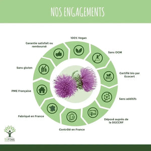burdock - capsules - Supplements - Supplements - infusion.organic