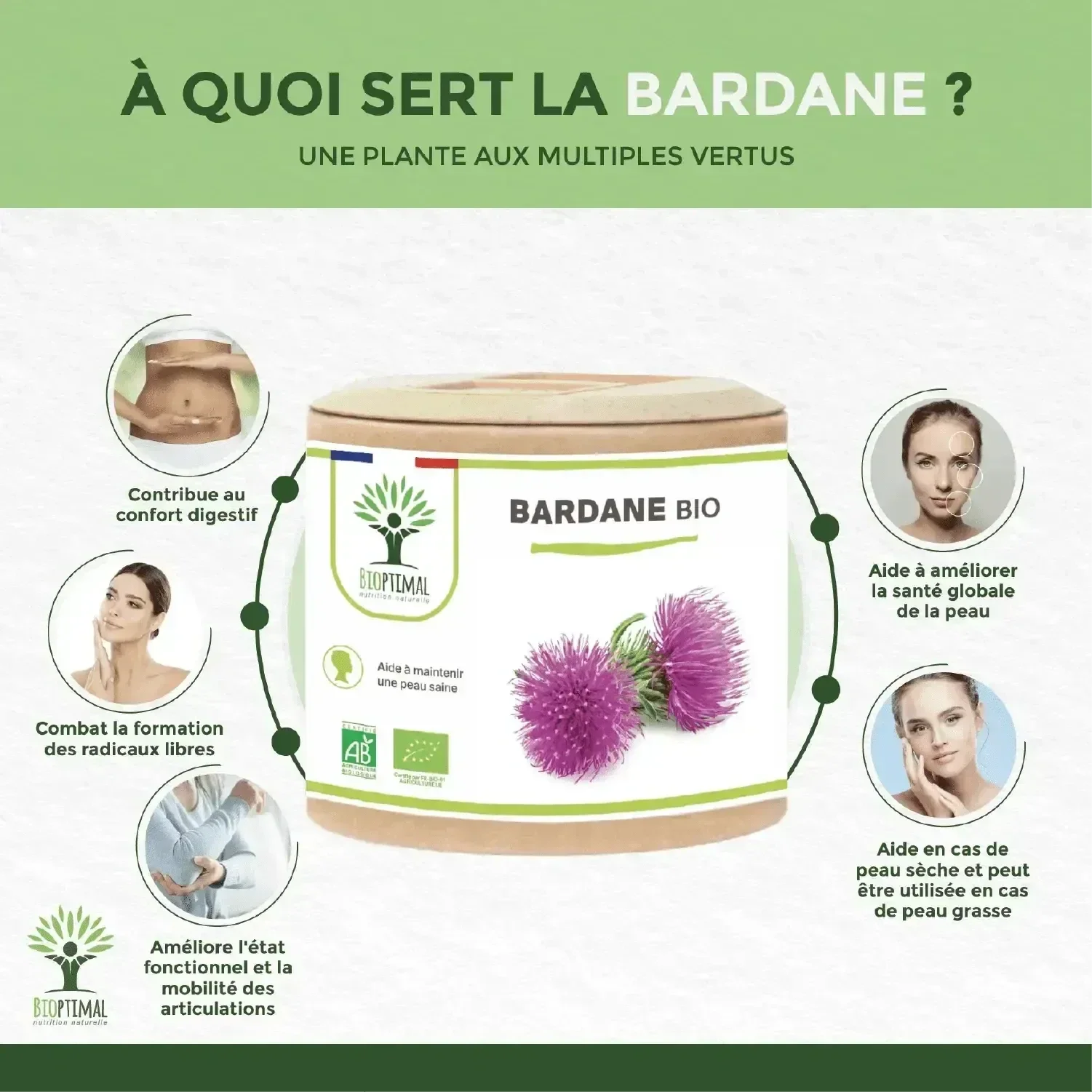 burdock - capsules - Supplements - Supplements - infusion.organic