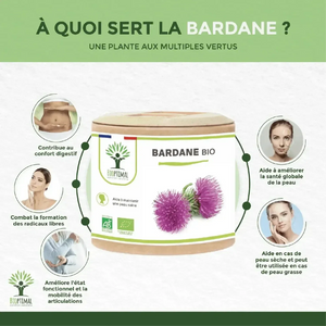 burdock - capsules - Supplements - Supplements - infusion.organic