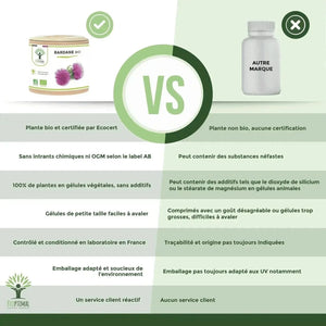 burdock - capsules - Supplements - Supplements - infusion.organic