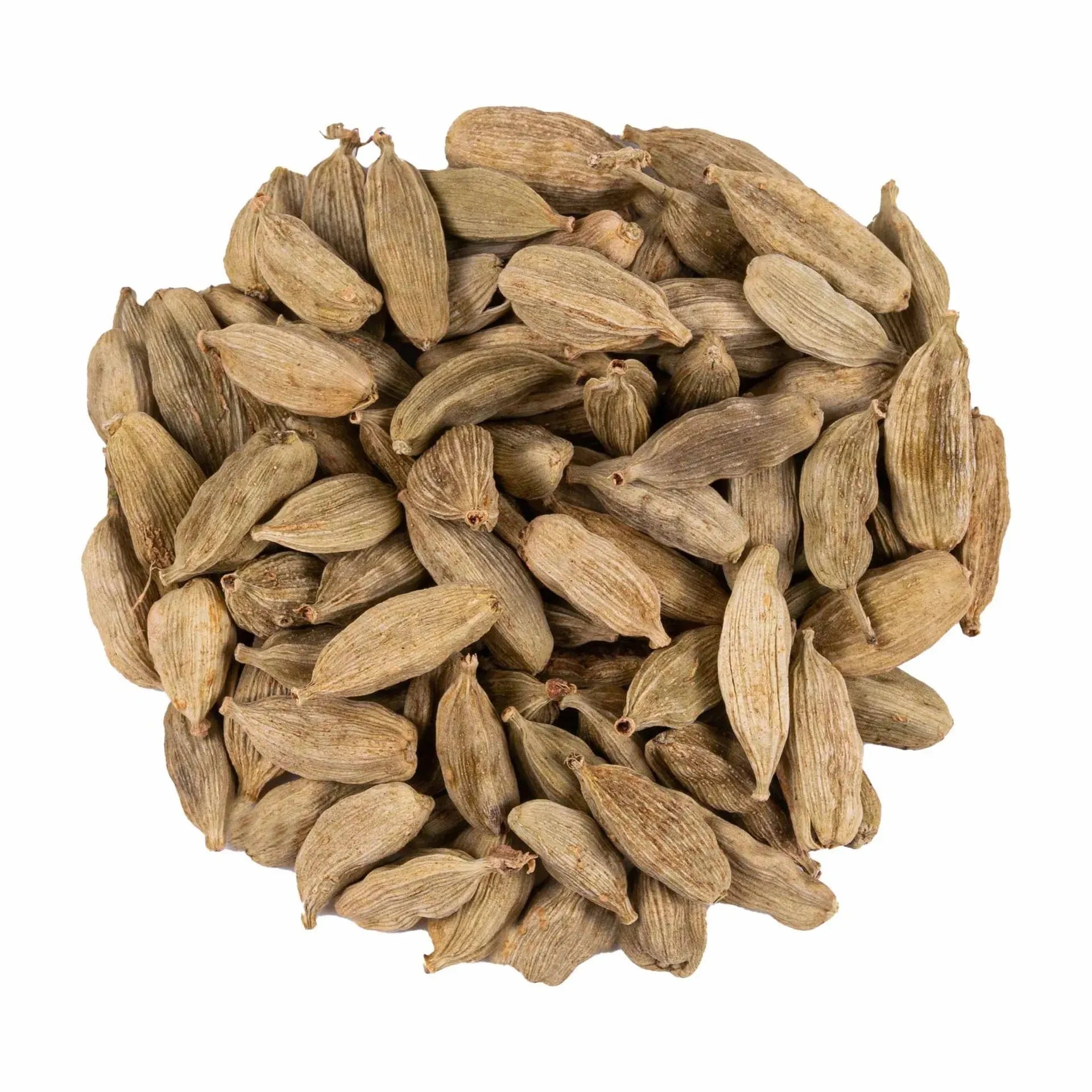 Cardamom Herbal tea Infuzion Tisan - infusion.organic