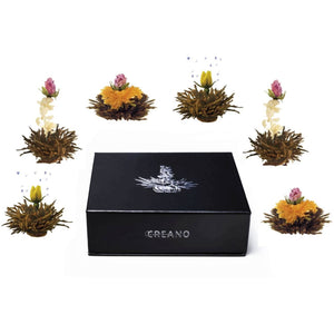 Magnetic box 6 blooming tea black tea Blooming Tea Creano infusion.organic