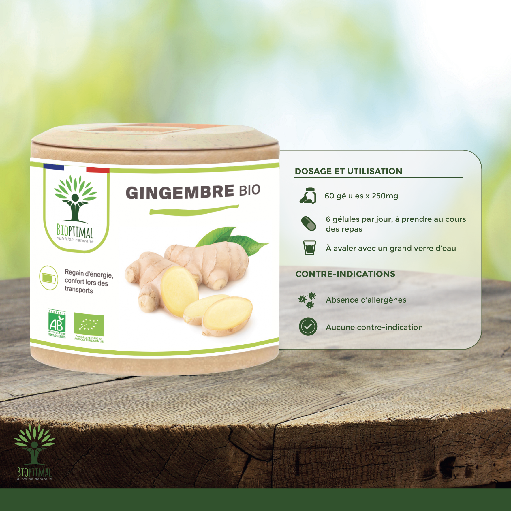 Organic ginger - Dietary supplement - in capsules Supplement Bioptimal infusion.organic