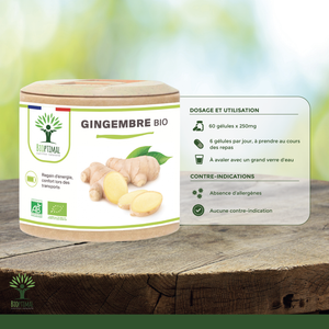 Organic ginger - Dietary supplement - in capsules Supplement Bioptimal infusion.organic